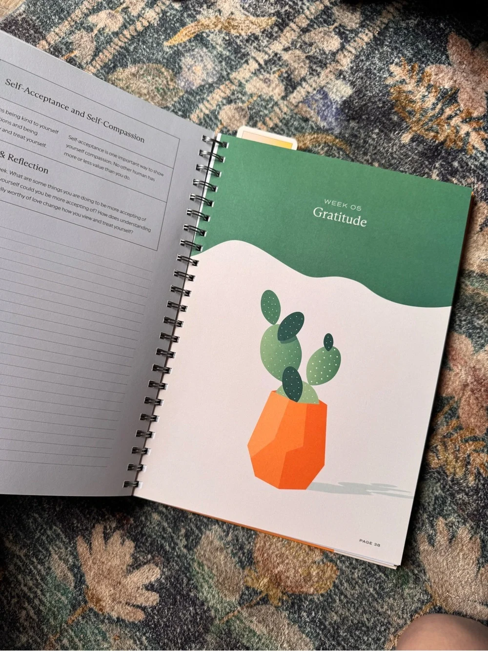 Switch Self-Love 16 Week Guided Notebook — Coral & Green